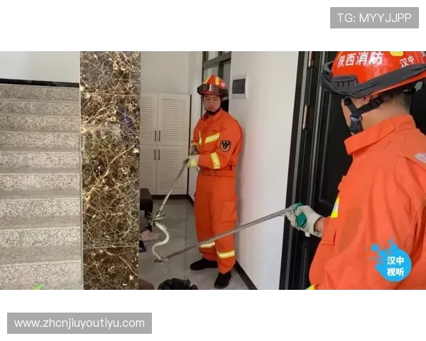 九游app官网下载电脑版安全保障措施，保障用户设备安全与隐私